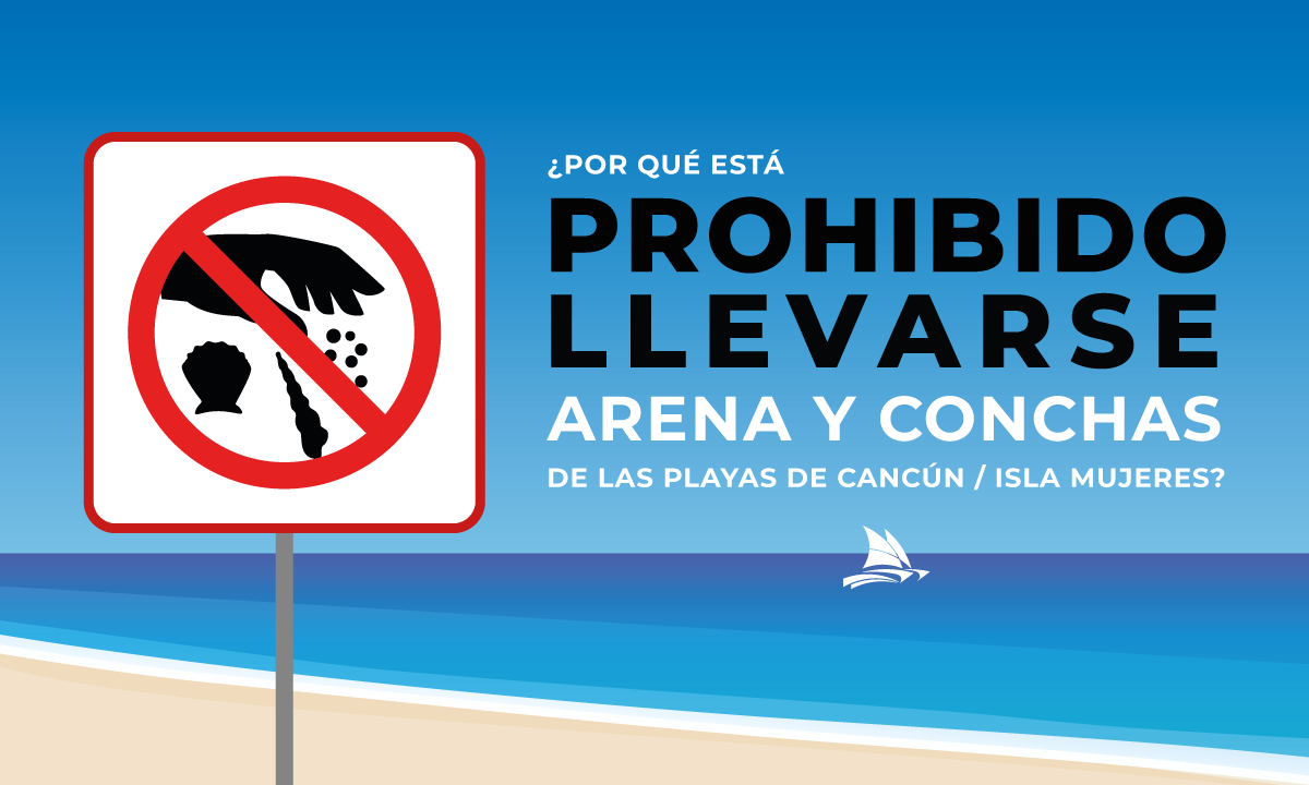 No robes el paraíso: la razón por la que NO debes llevarte arena ni conchas de las playas de Cancún