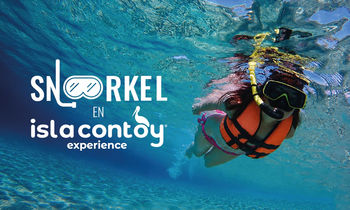 Snorkel 🤿 en Isla Contoy: ¿Qué ver y qué hacer?