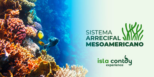 El Sistema Arrecifal Mesoamericano: Un tesoro natural del Caribe
