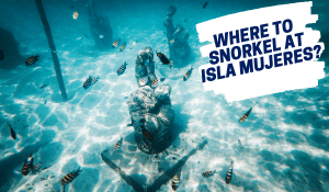 Best places to Snorkeling in Isla Mujeres